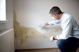 Best Mold Prevention Services  in Brookfield Center, OH